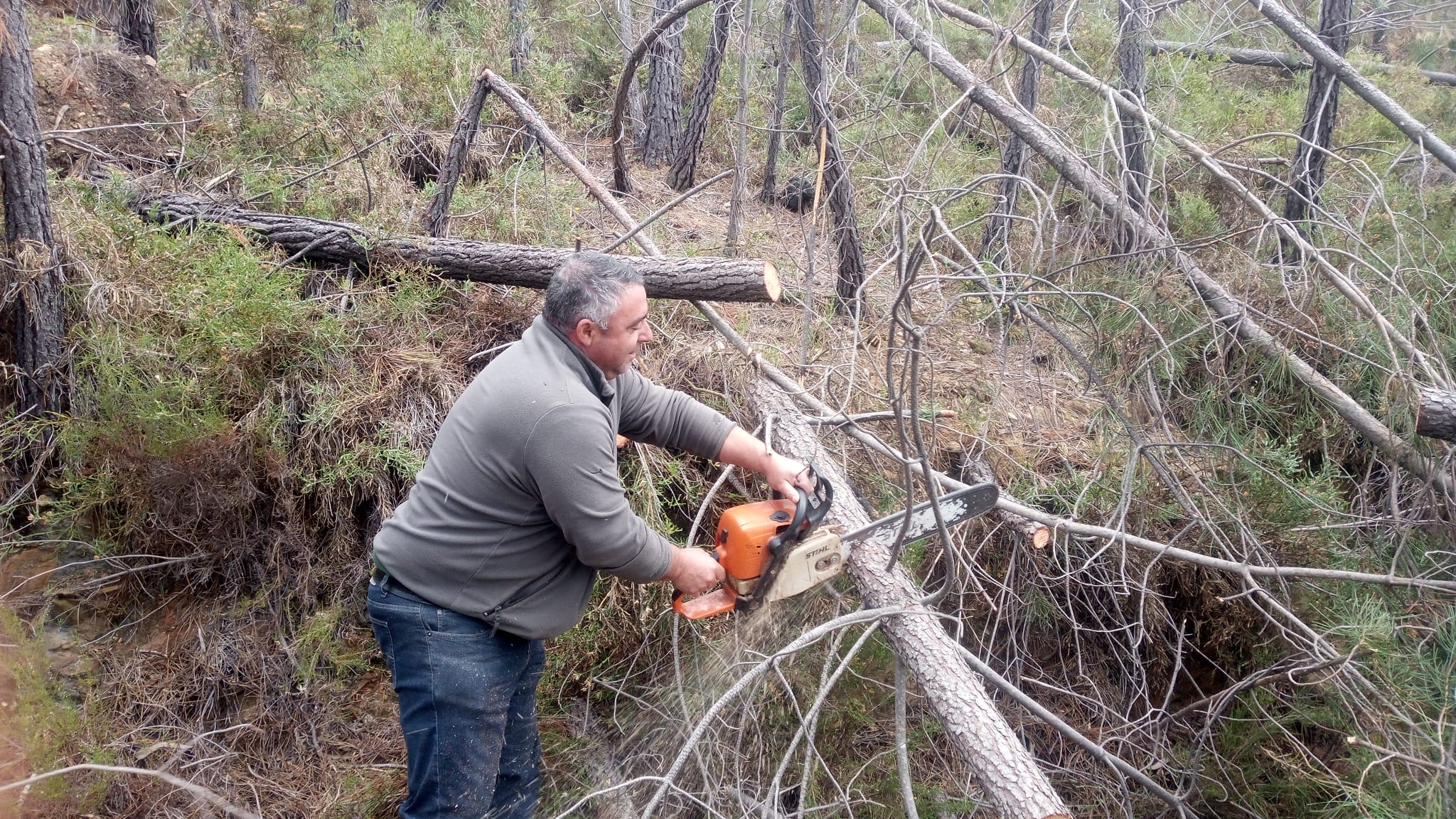 Banner Ação De Limpeza De Caminhos Rurais Na Freguesia