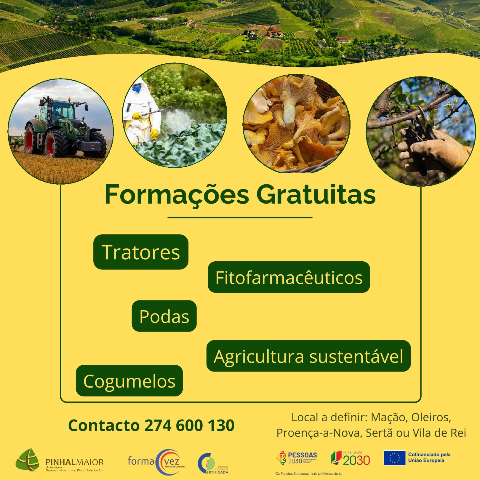 Imagem AÇÕES FORMATIVAS GRATUITAS - Pinhal Maior
